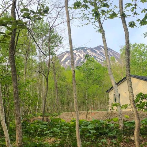 8aaf7354-6abf-4ae6-9bd8-58d485713a16